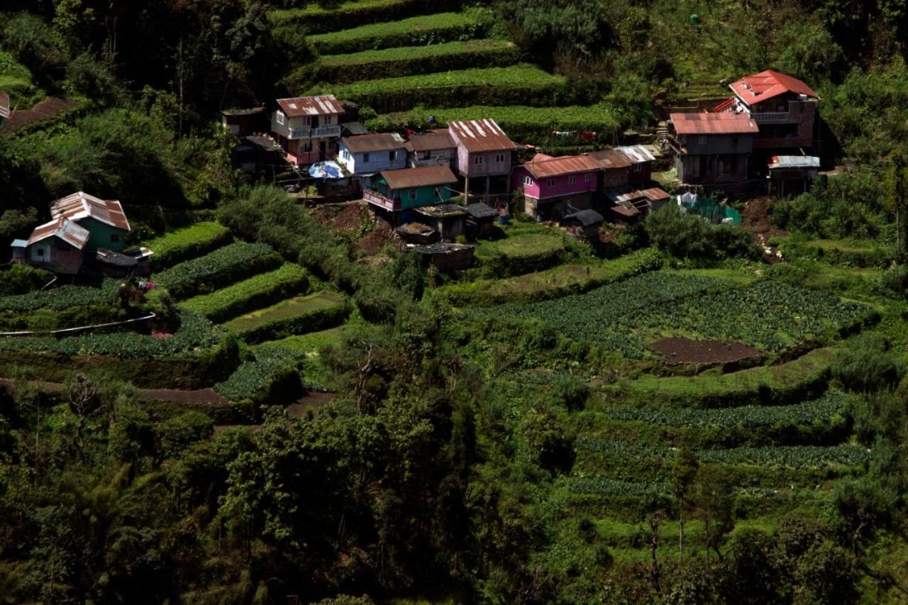Yashita Homestay Darjeeling  Exterior photo